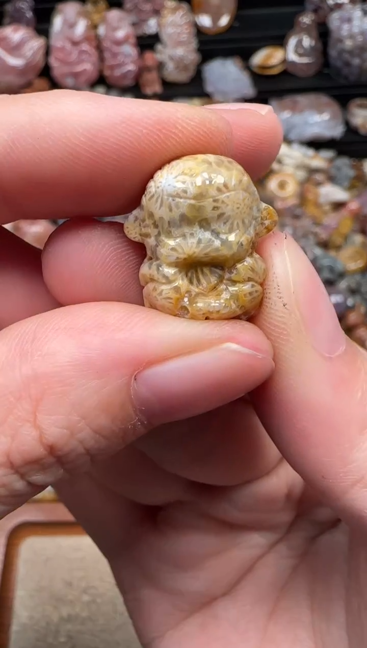 颈饰未镶嵌硅化珊瑚（珊瑚玉）108