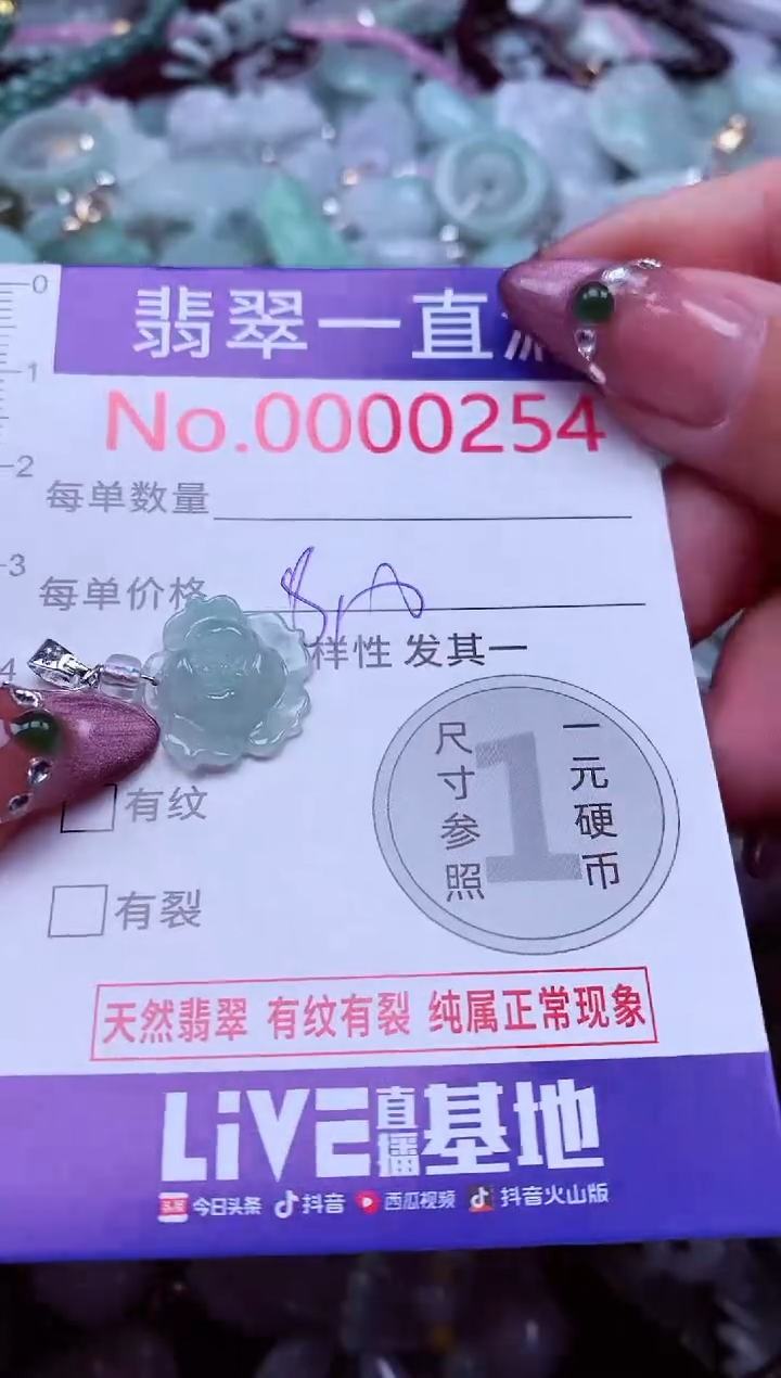 颈饰未镶嵌翡翠254