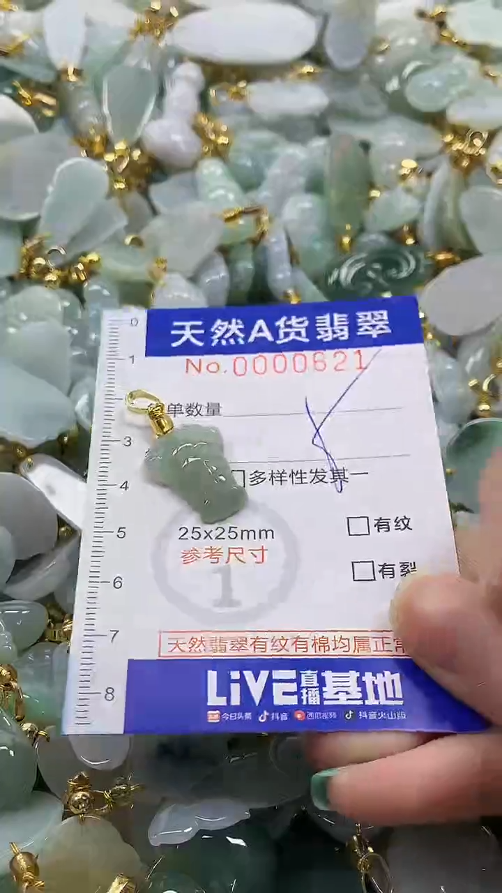 颈饰未镶嵌翡翠纯天然a货翡翠