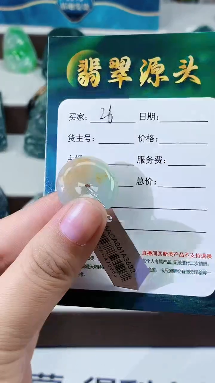 翡翠未镶嵌颈饰RS25073026