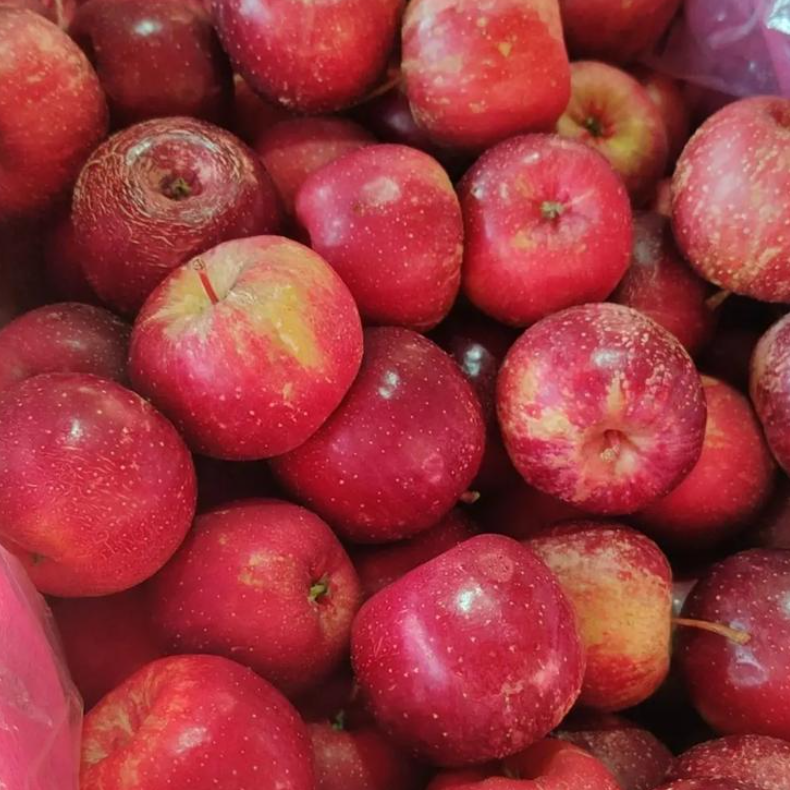  顺丰 甜脆口 野生山林小苹果顺丰包邮5斤/箱 净约4.5吉林省