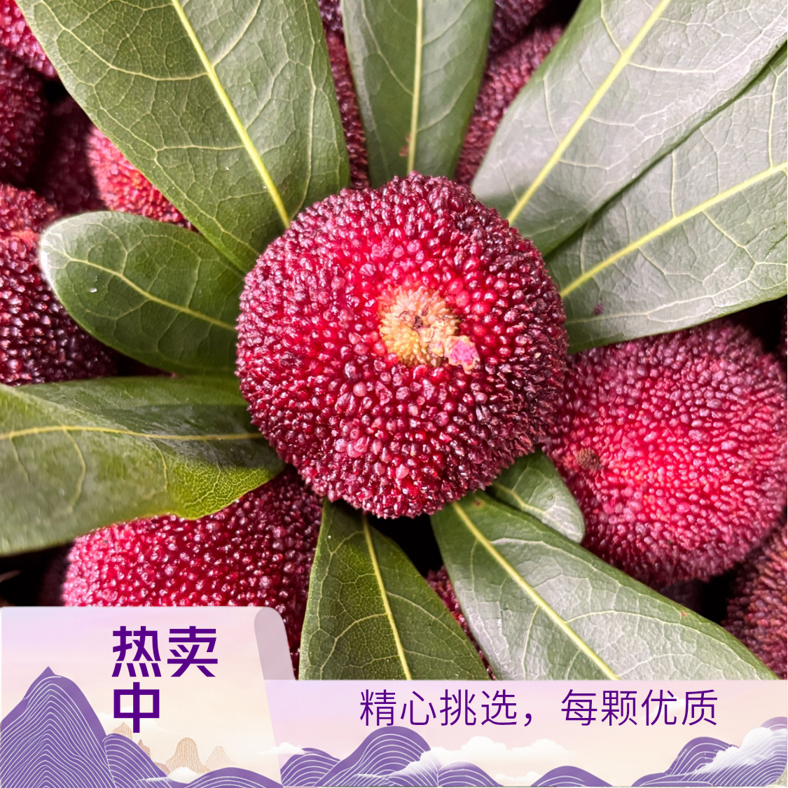 《顺丰冷链包邮》正宗浙江台州仙居东魁杨梅新鲜现摘水果酸甜可口回味无穷现摘现发真空包装明天到浙江省