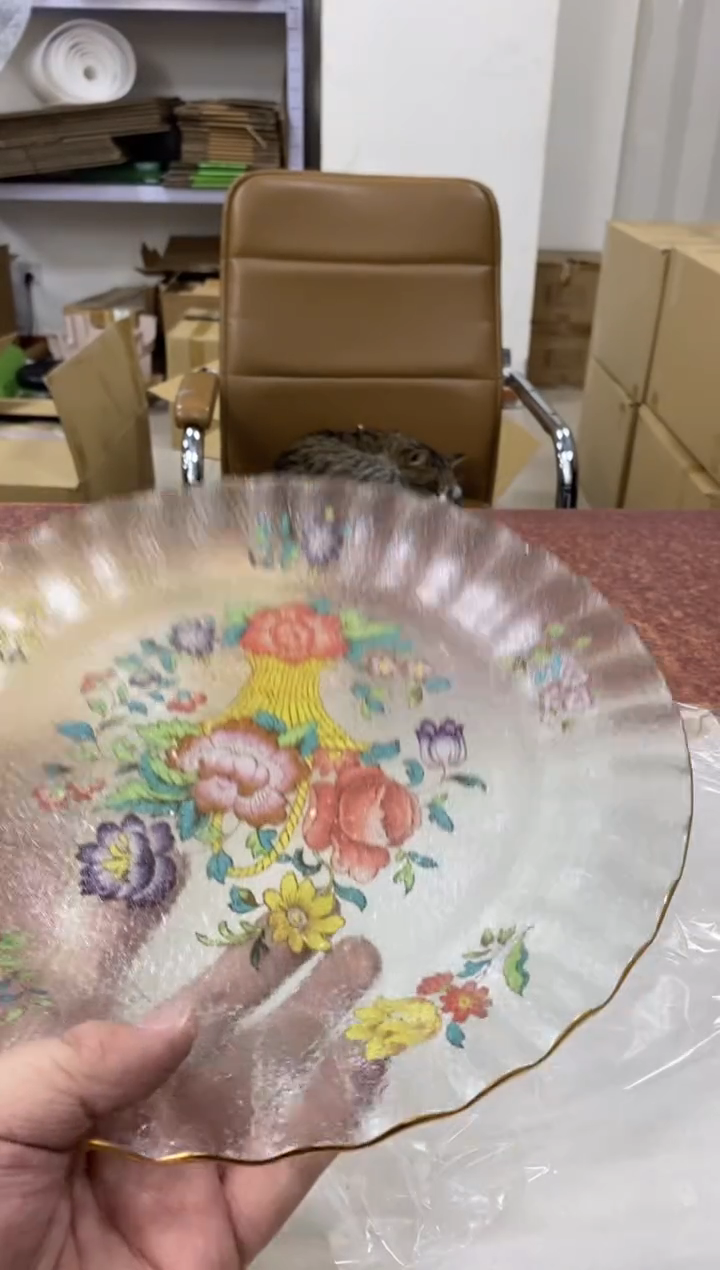 瓷片203小林轩欢迎您