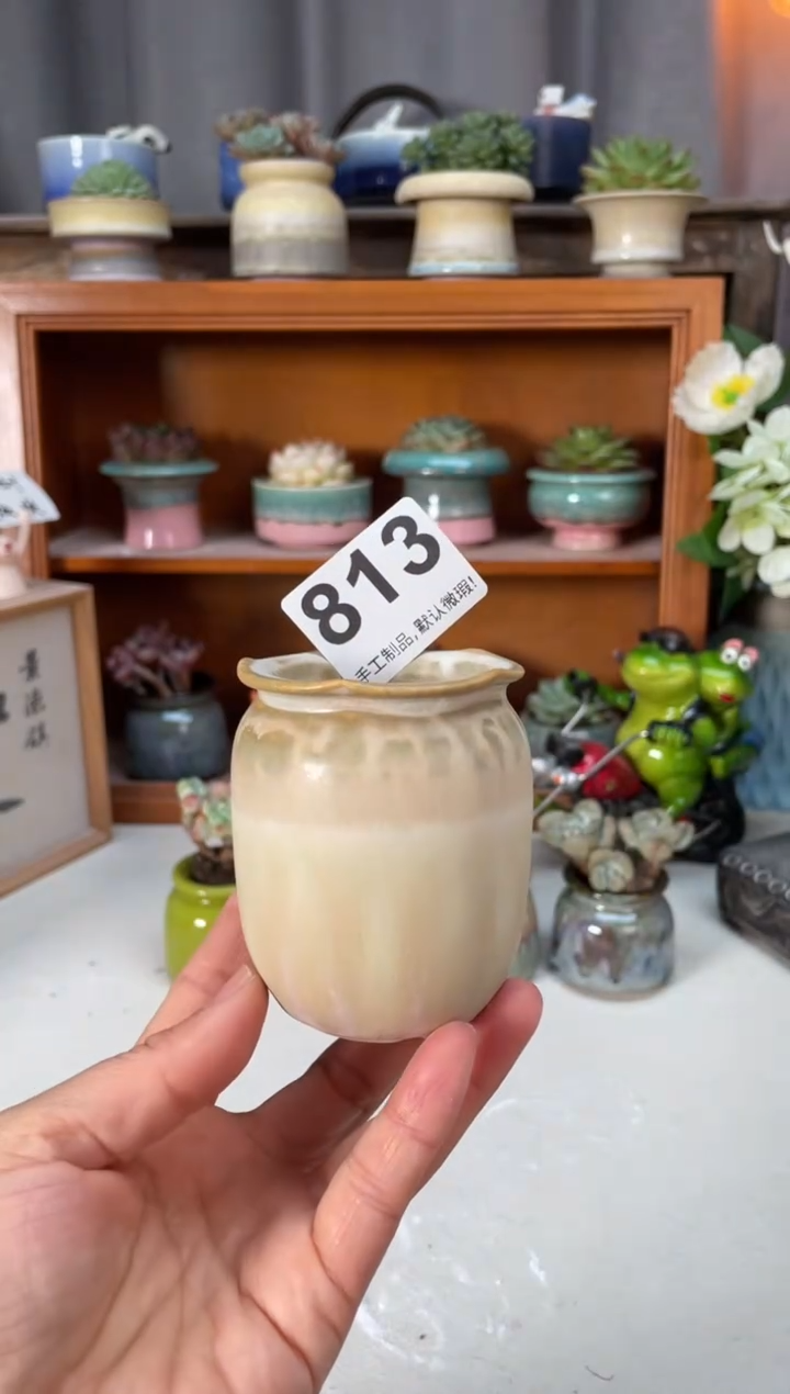 瓷片813小芳直播编号