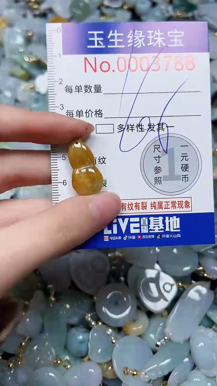 【闪购商品】翡翠颈饰未镶嵌闪购00003788