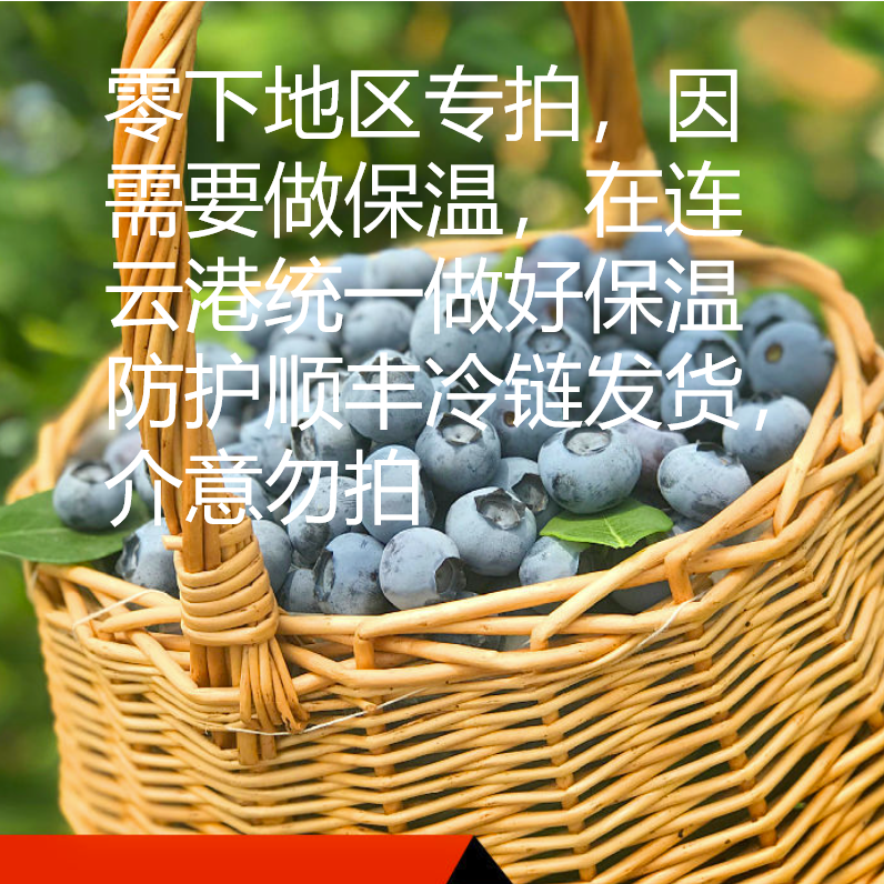 蓝小家［15-18mm］寒冷地区专拍云南高山新鲜蓝莓现摘现发