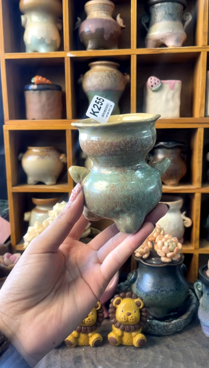 年****ᐝ255【多肉花盆多肉盆】