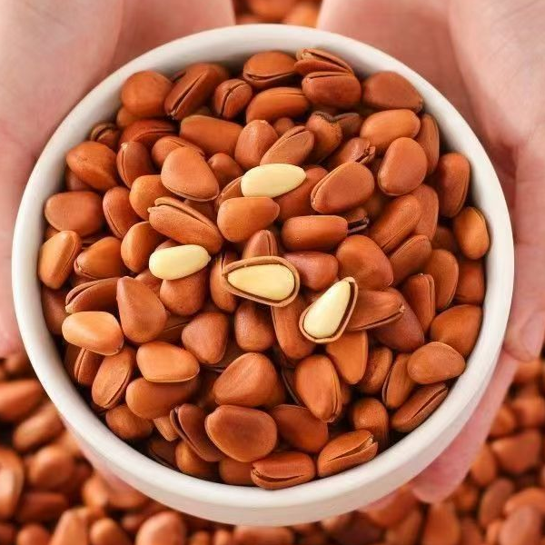 云南今年新松子原味坚果零食