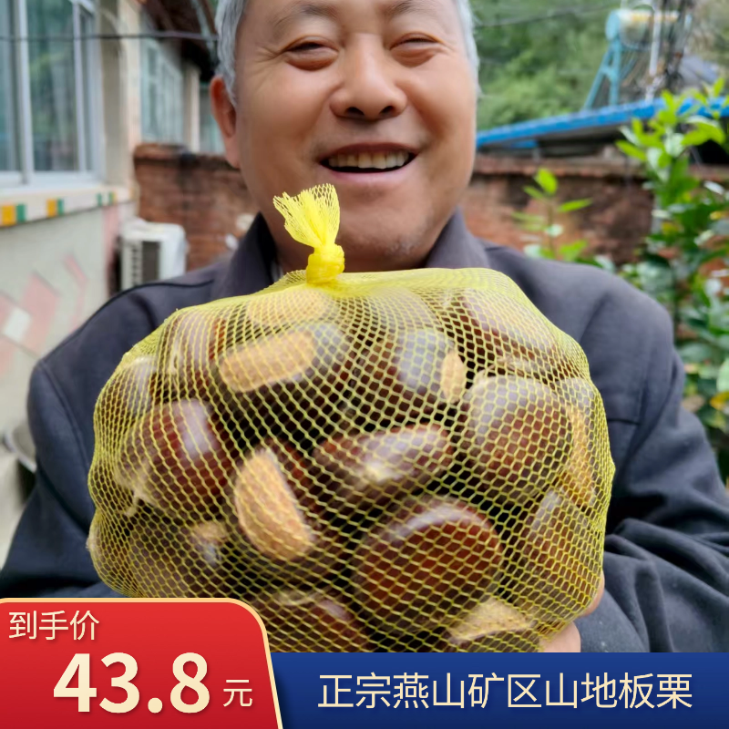 2025新下树山坡地头茬兴隆农户自销燕山甘栗京东板栗