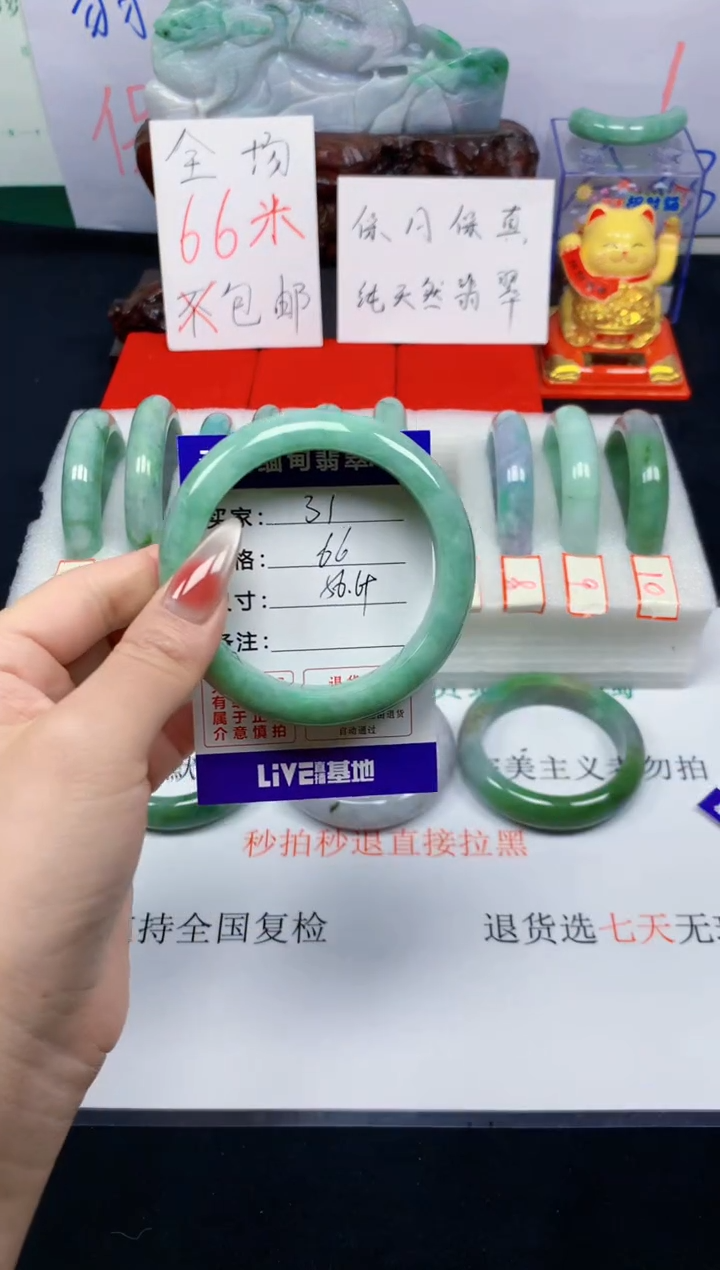 未镶嵌手镯翡翠31