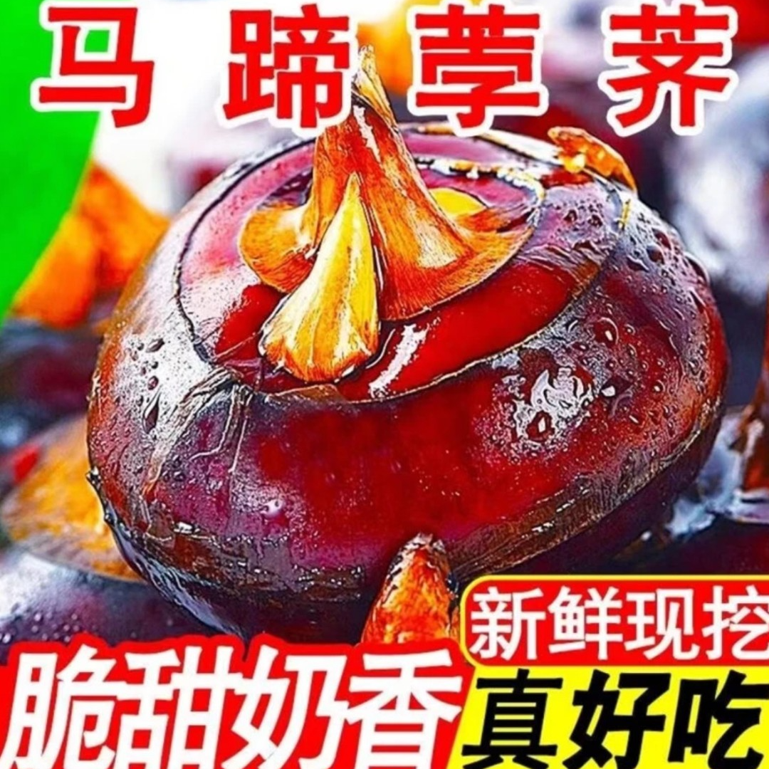 【到手五斤】拍3斤送2斤新鲜马蹄现挖现发马蹄荸荠地梨应季水果蔬菜