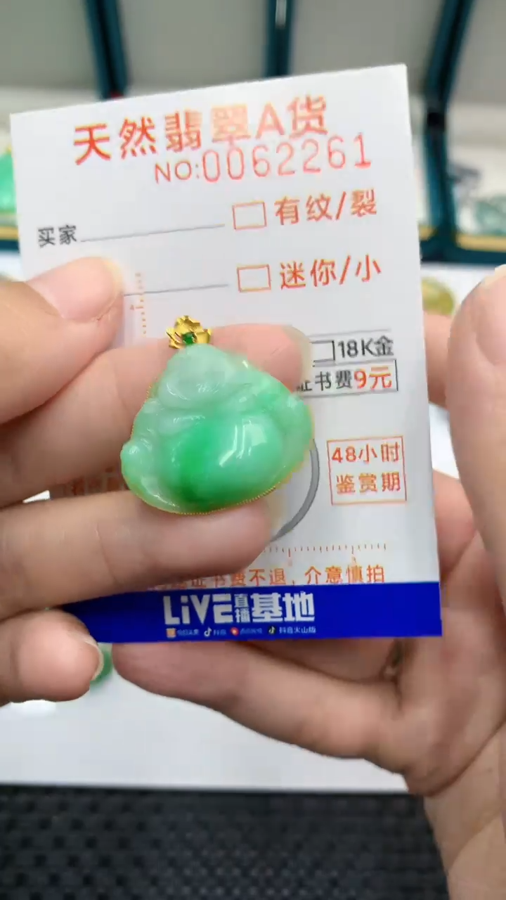 【闪购商品】翡翠颈饰18K金镶嵌            8