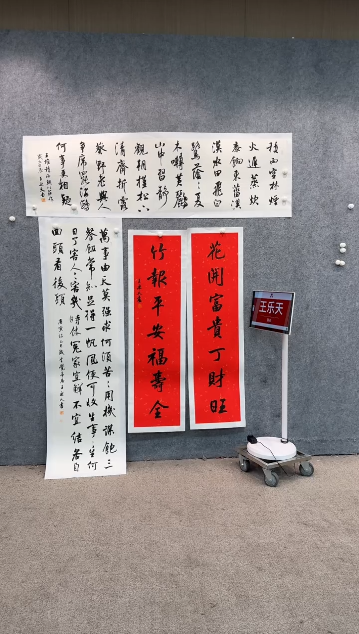 【闪购商品】书法pmb不二轩旗舰店国画WLT12