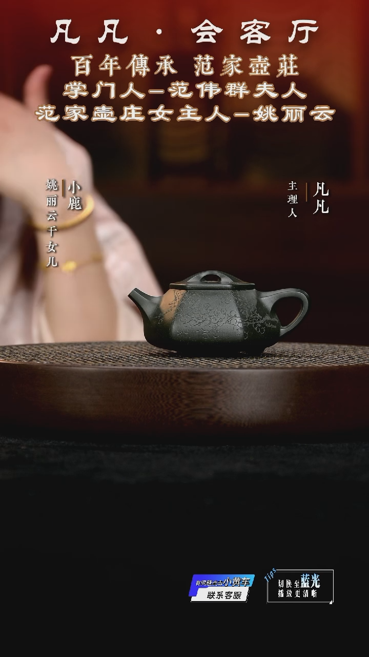 茶壶紫砂凡凡会客厅&姚丽云34 紫砂壶