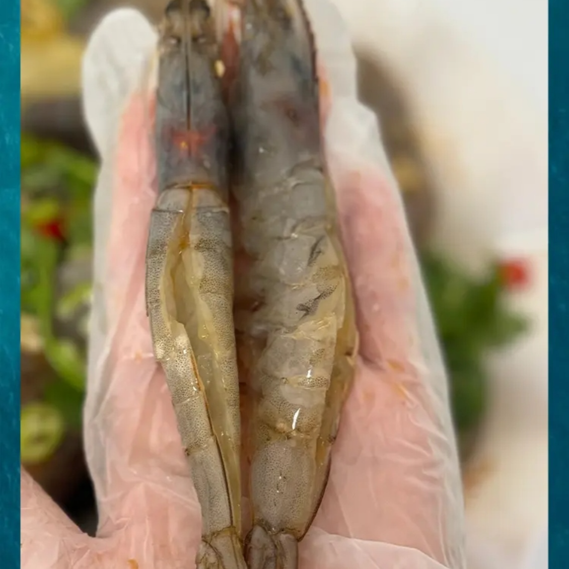 生腌虾大连本地生腌美味