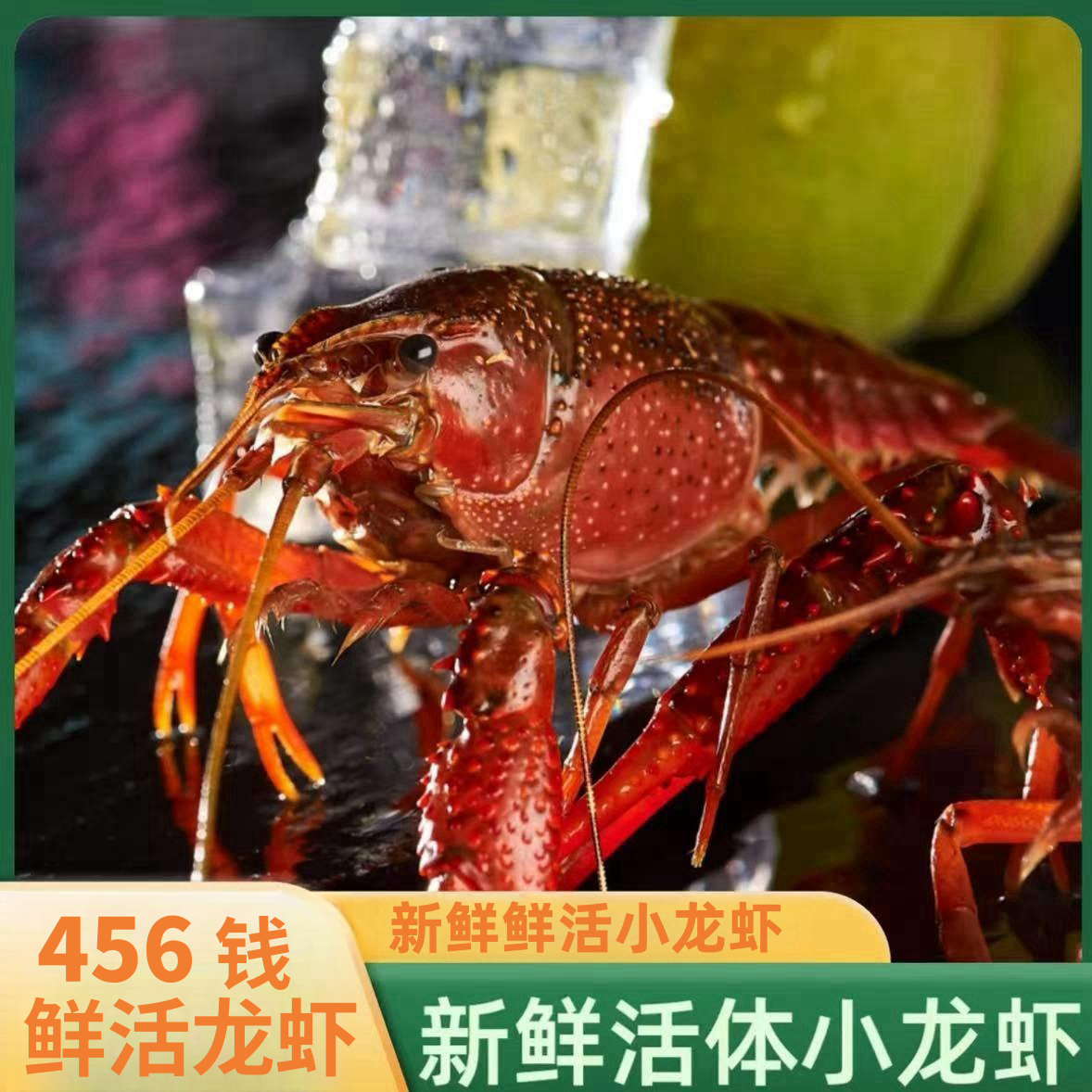 【鲜活小龙虾】鲜活456钱小龙虾 鲜活到家 清水养殖小龙虾 
