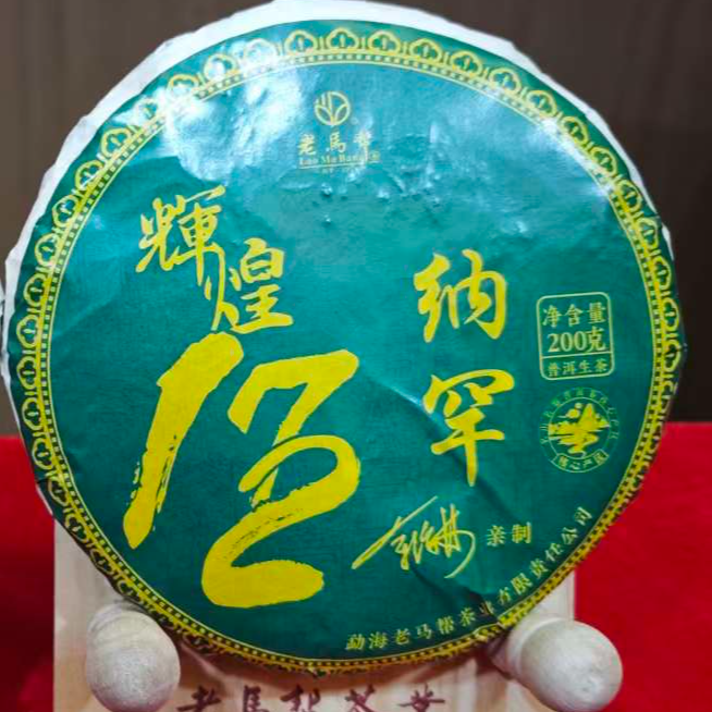 12.17 老马帮 辉煌172  板山古树 玩个大的