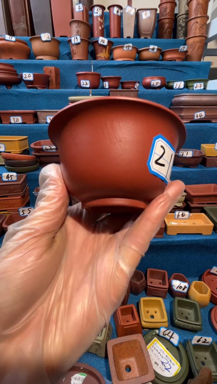 【闪购商品】紫砂紫砂花盆8.5*4