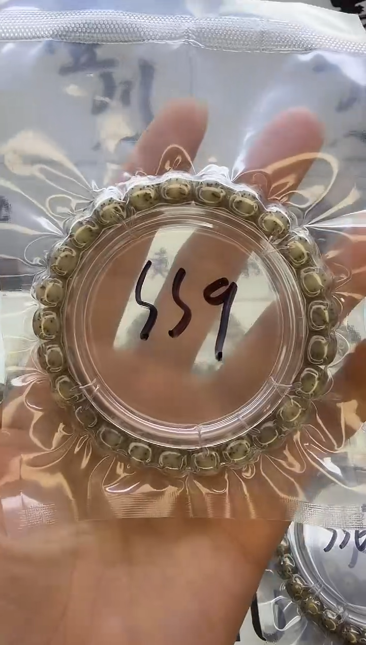 手串星月菩提9/8 灰冰糖 侧留白+大眼留白 同枝果 