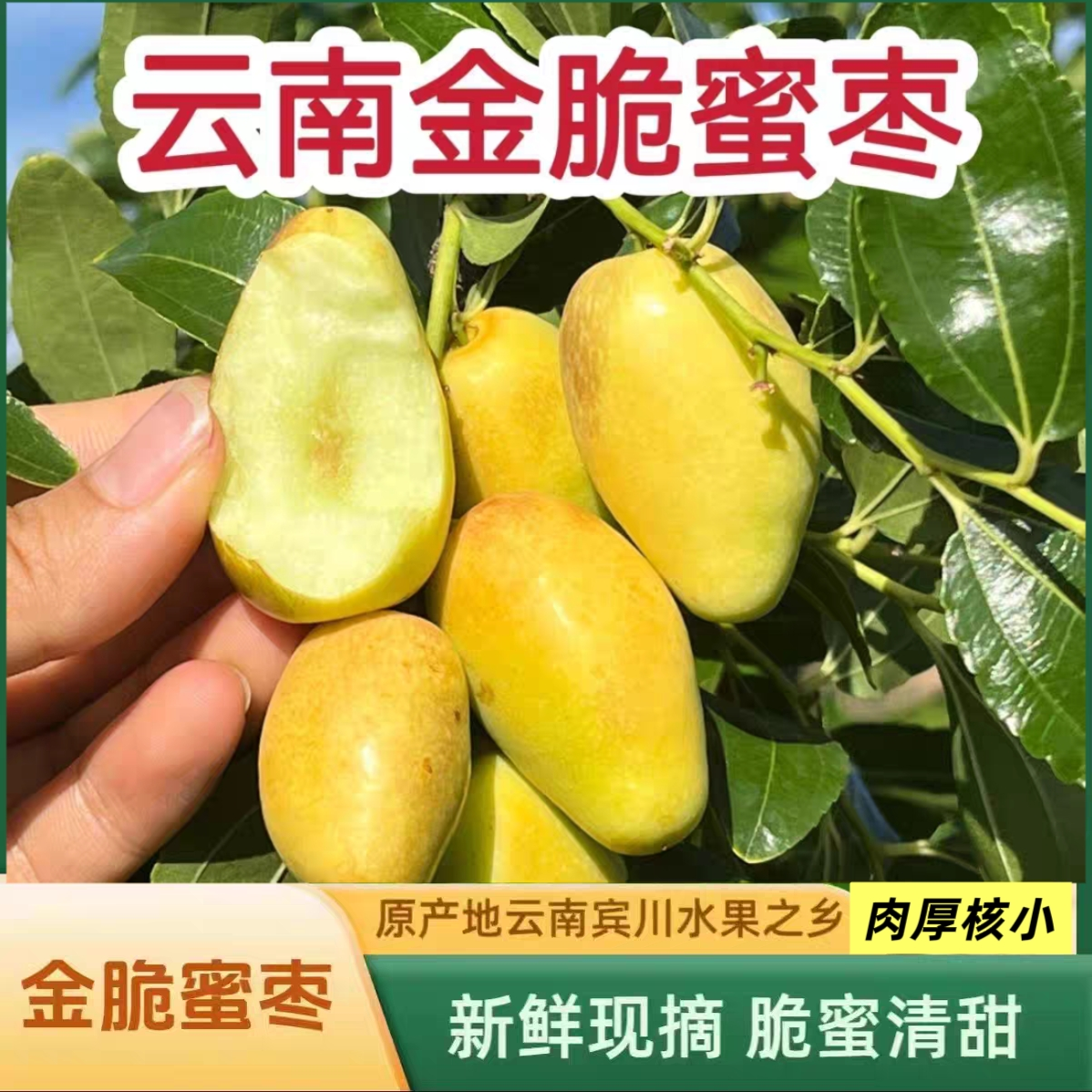 【金脆蜜枣】云南高原大理宾川子弹蜜枣鸡心枣新鲜水果脆蜜清甜汁少