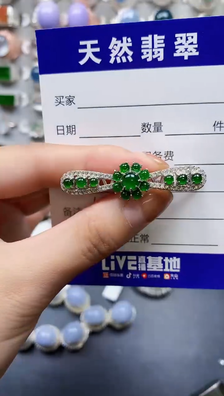 【闪购商品】翡翠颈饰银S925镶嵌0164