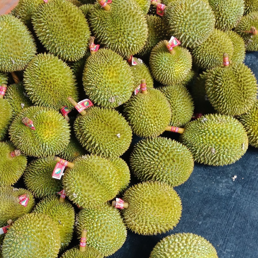 x【EMS空运】新鲜榴莲现场挑选2斤起 核大 运输干耗10%左右
