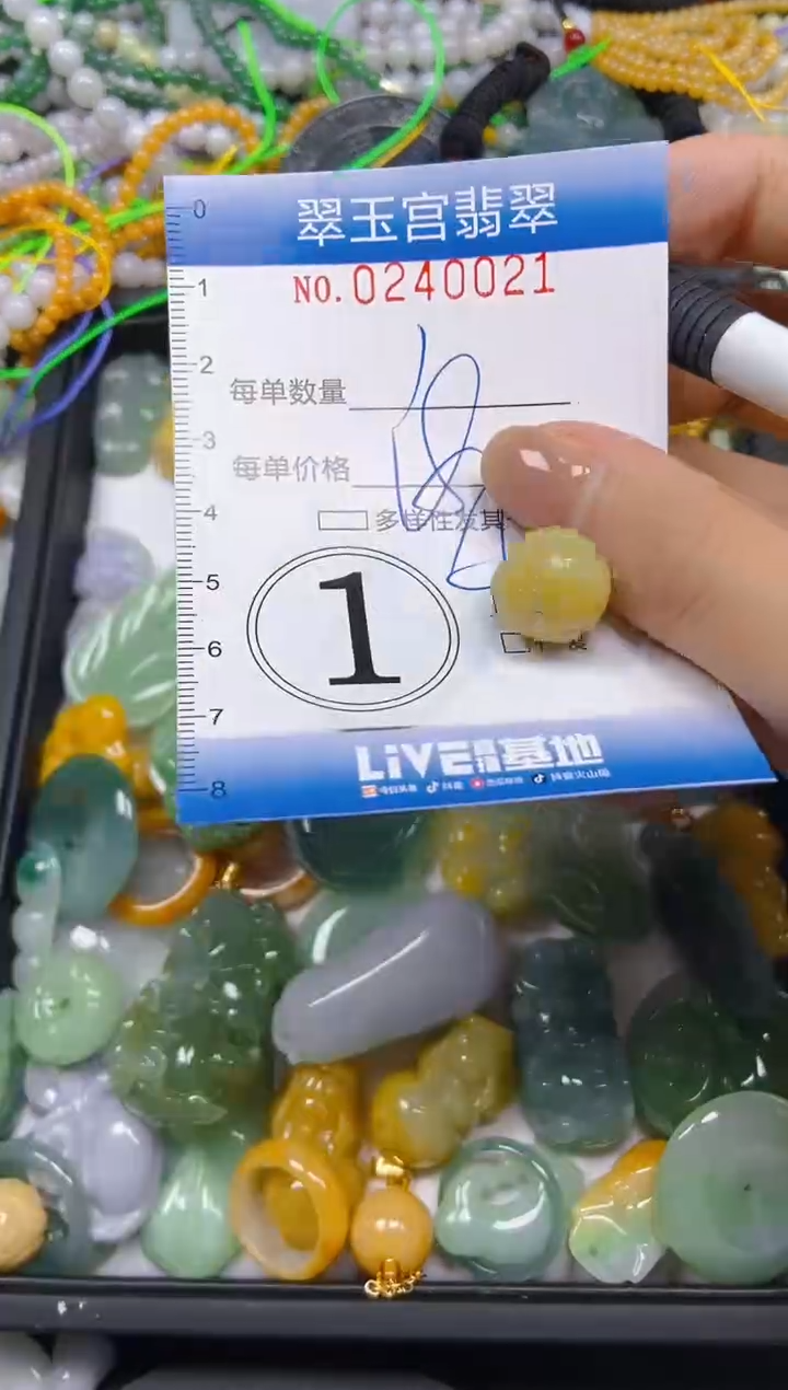 颈饰未镶嵌翡翠闪购C0240021