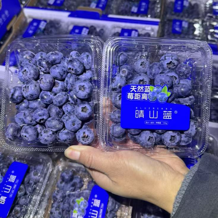 【阿蔡甄选】晴山蓝L25蓝莓18+大果脆甜爆浆花青素满满4盒起