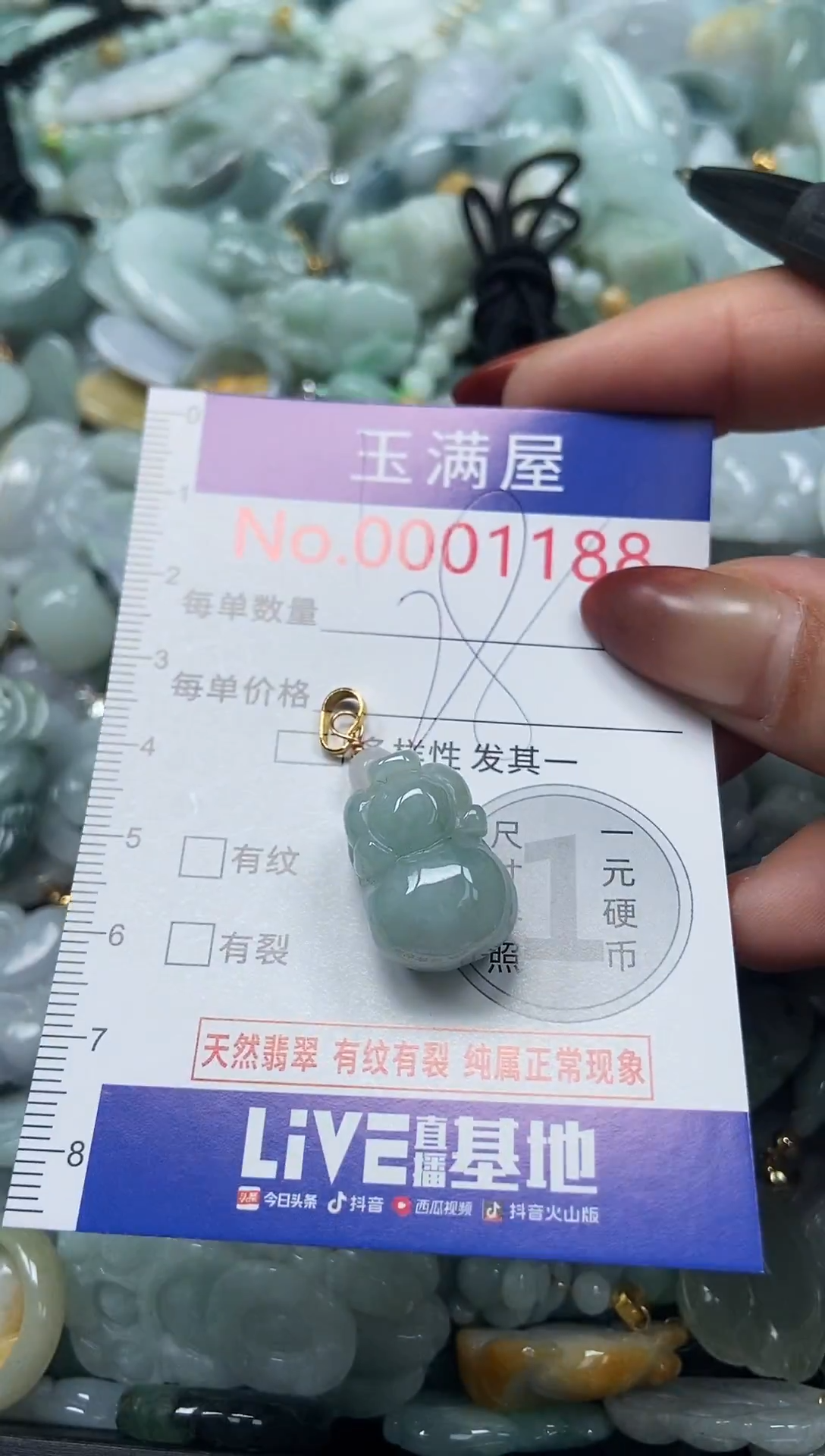 颈饰未镶嵌翡翠1188