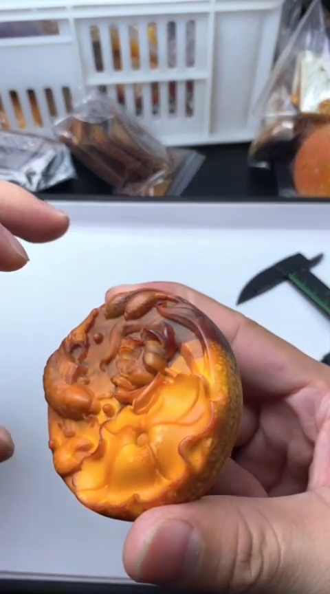 所见即所得131荷花鱼