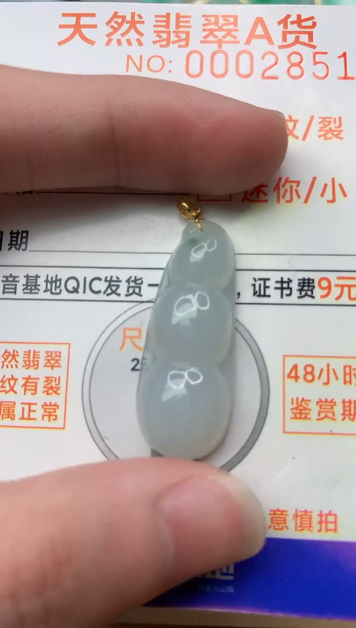 【闪购商品】翡翠颈饰18K金镶嵌4............