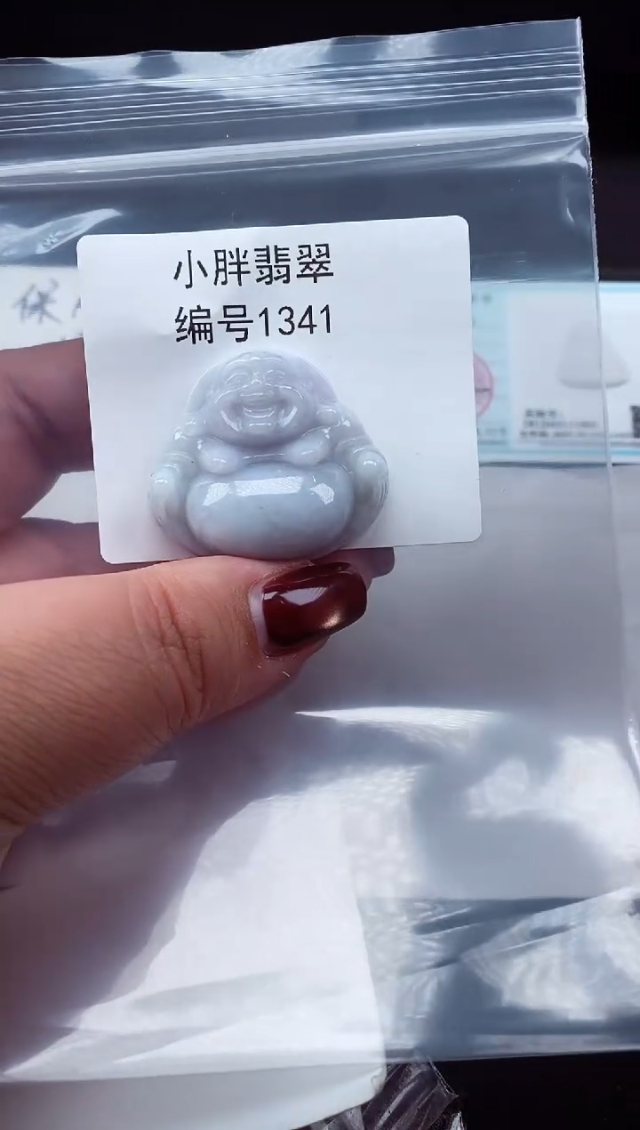 颈饰未镶嵌翡翠缅甸天然A货翡翠1341