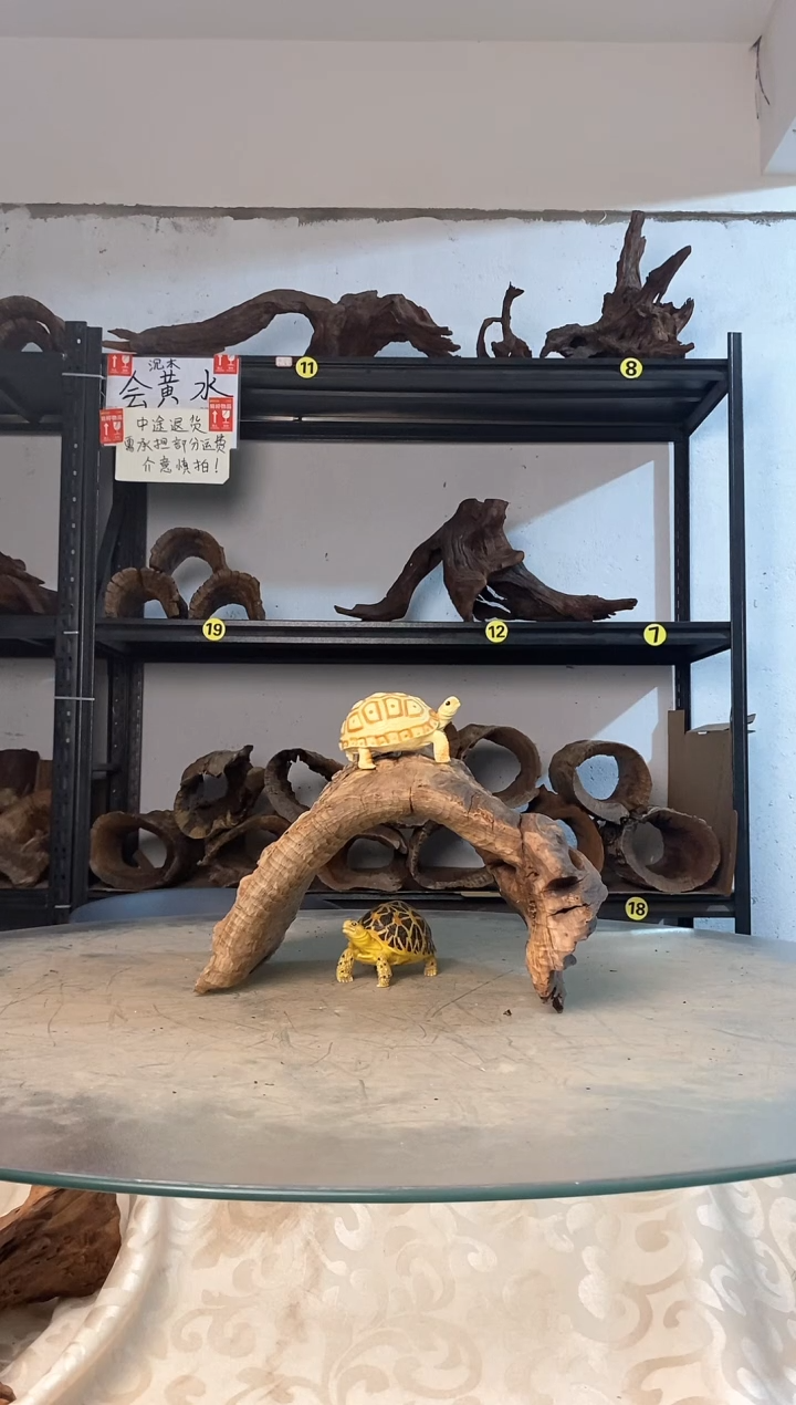 焦*?鱼缸爬宠造景素材761