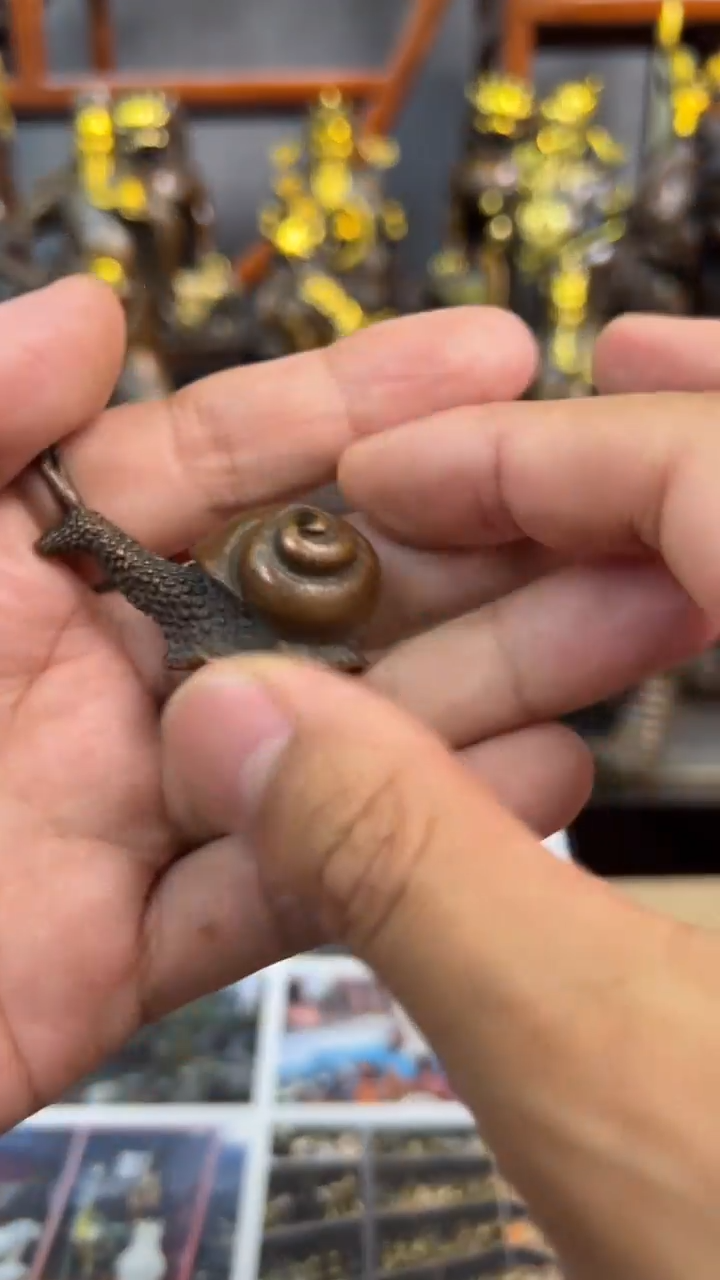 闪购链接闪购链接