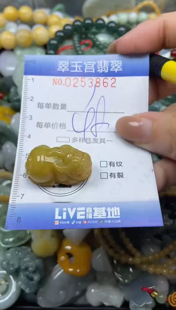 颈饰未镶嵌翡翠闪购C0253862