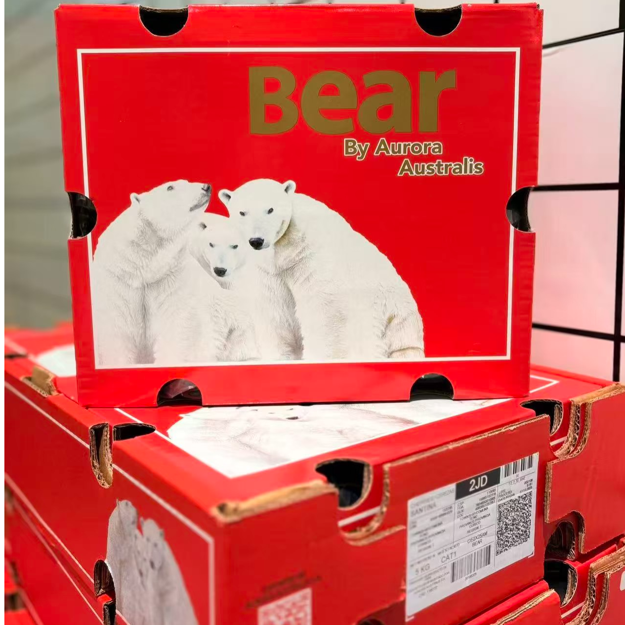 冰熊牌 桑提娜智利海运冰熊车厘子2jd-3JD(内附果径卡)原箱五斤装脆甜多汁桑提娜樱桃智利共和国