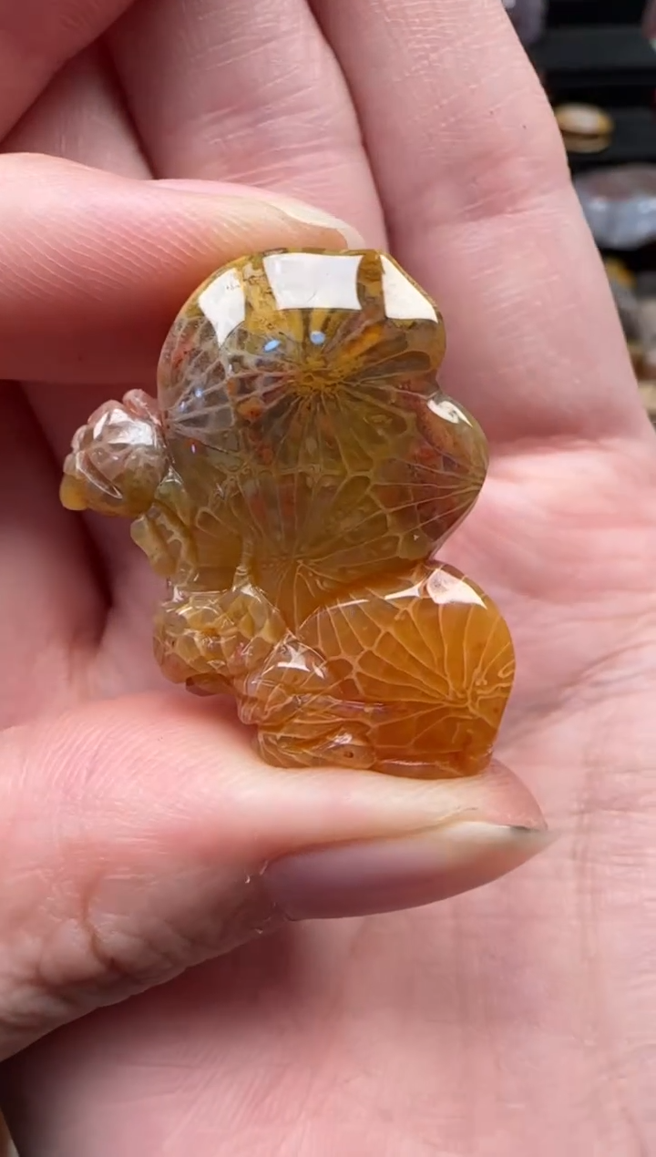 颈饰未镶嵌硅化珊瑚（珊瑚玉）110