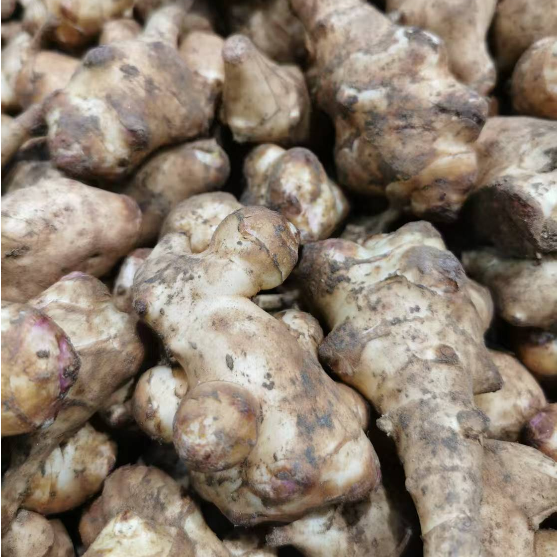 鬼头姜 3斤左右（蔬菜）