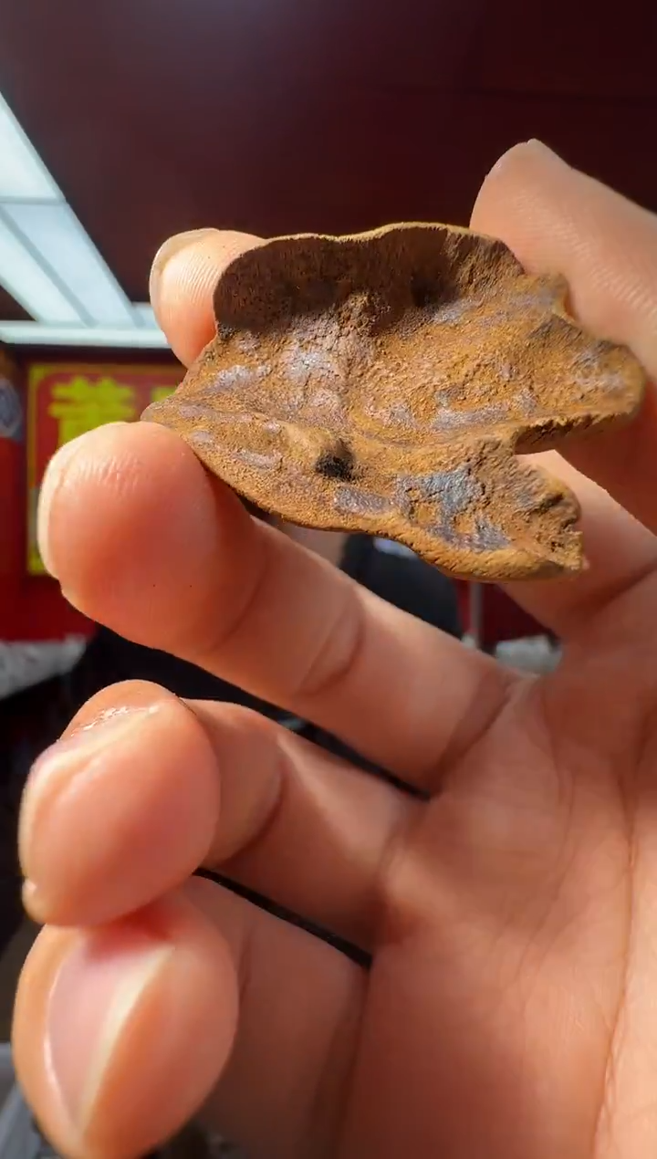 沉香沉香香囊e25越南鸡母虫多样性发一