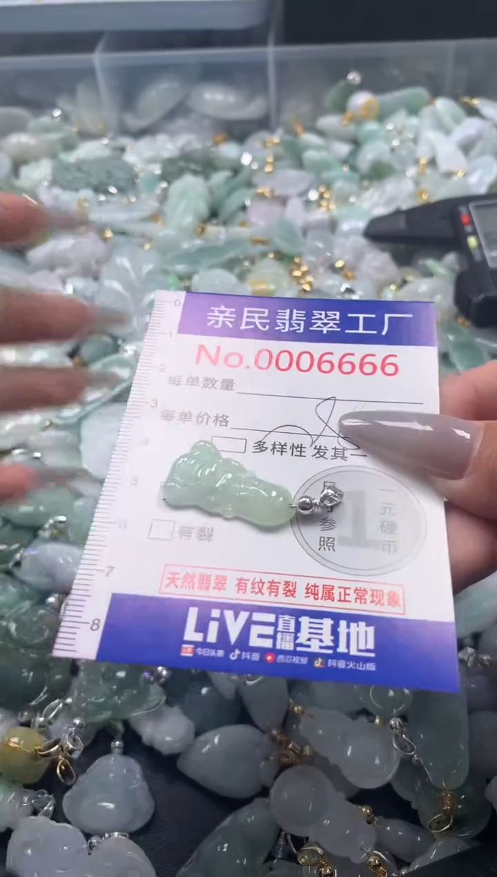 颈饰未镶嵌翡翠6666