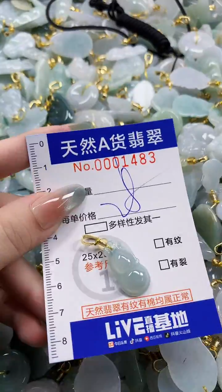 颈饰未镶嵌翡翠天然A货翡翠