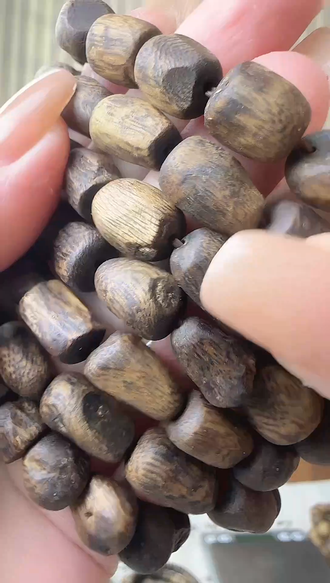 沉香沉香碎屑+LB