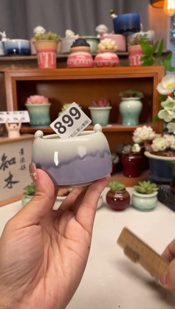 瓷片899知木小芳花盆