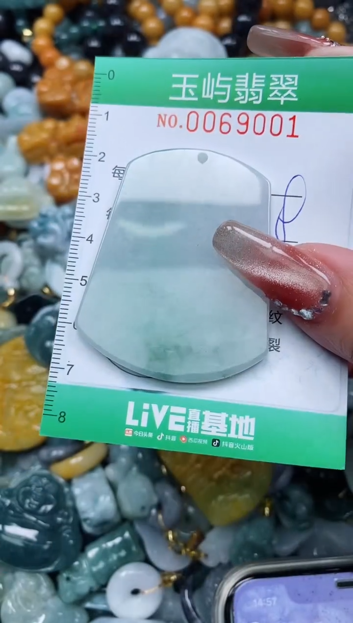 【闪购商品】翡翠颈饰未镶嵌闪购0069001