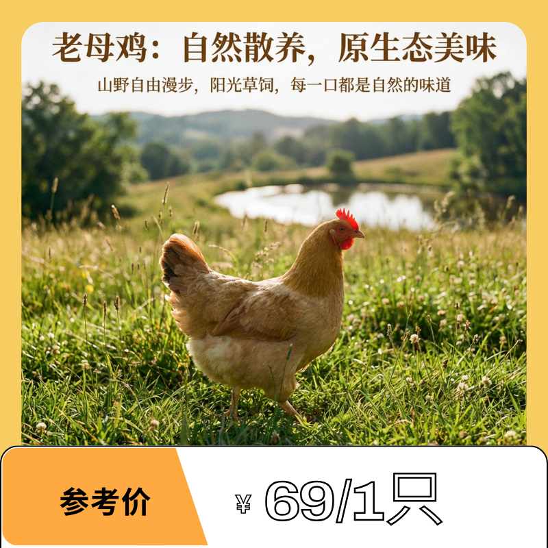 【1只装】农家散养400天以上脆皮老母鸡适合煲汤、红烧 净重约2.5斤