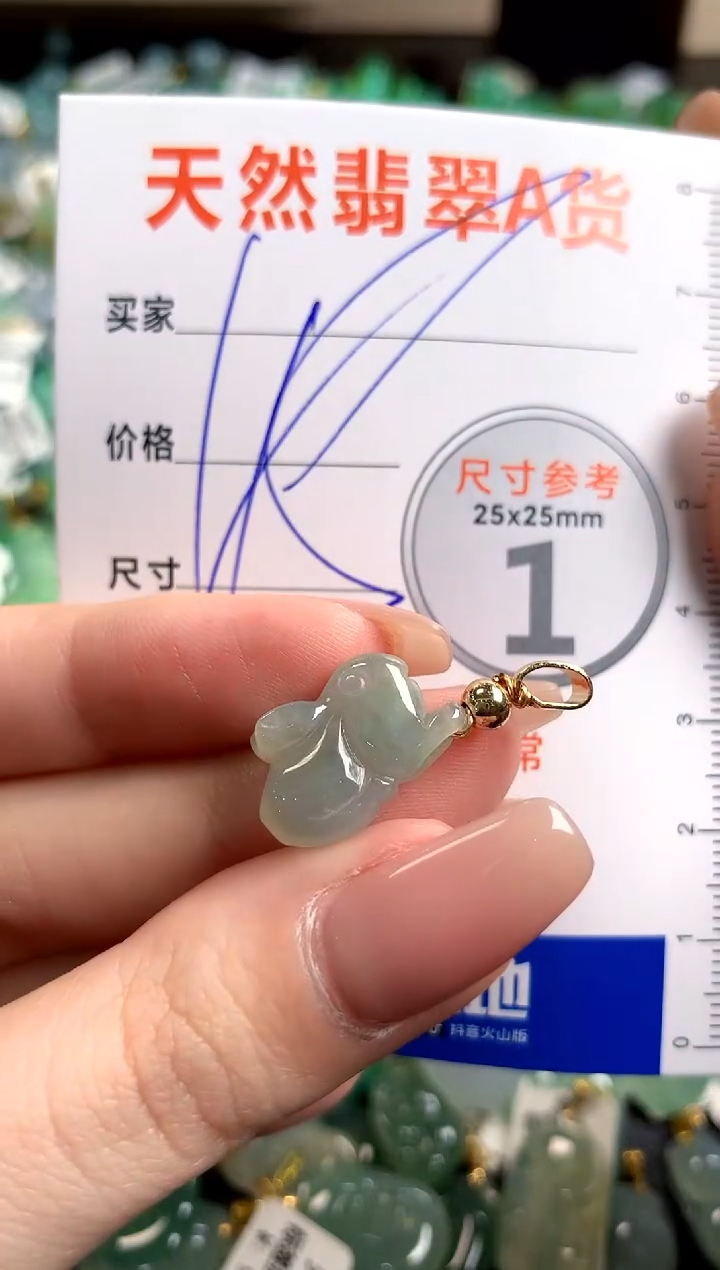 【闪购商品】翡翠颈饰未镶嵌14008205