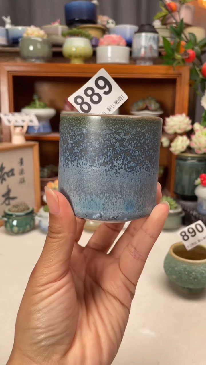 瓷片福利889知木小芳花盆