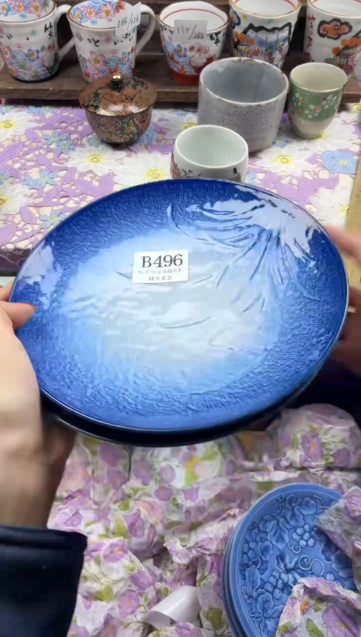 瓷片鲍*                     B496