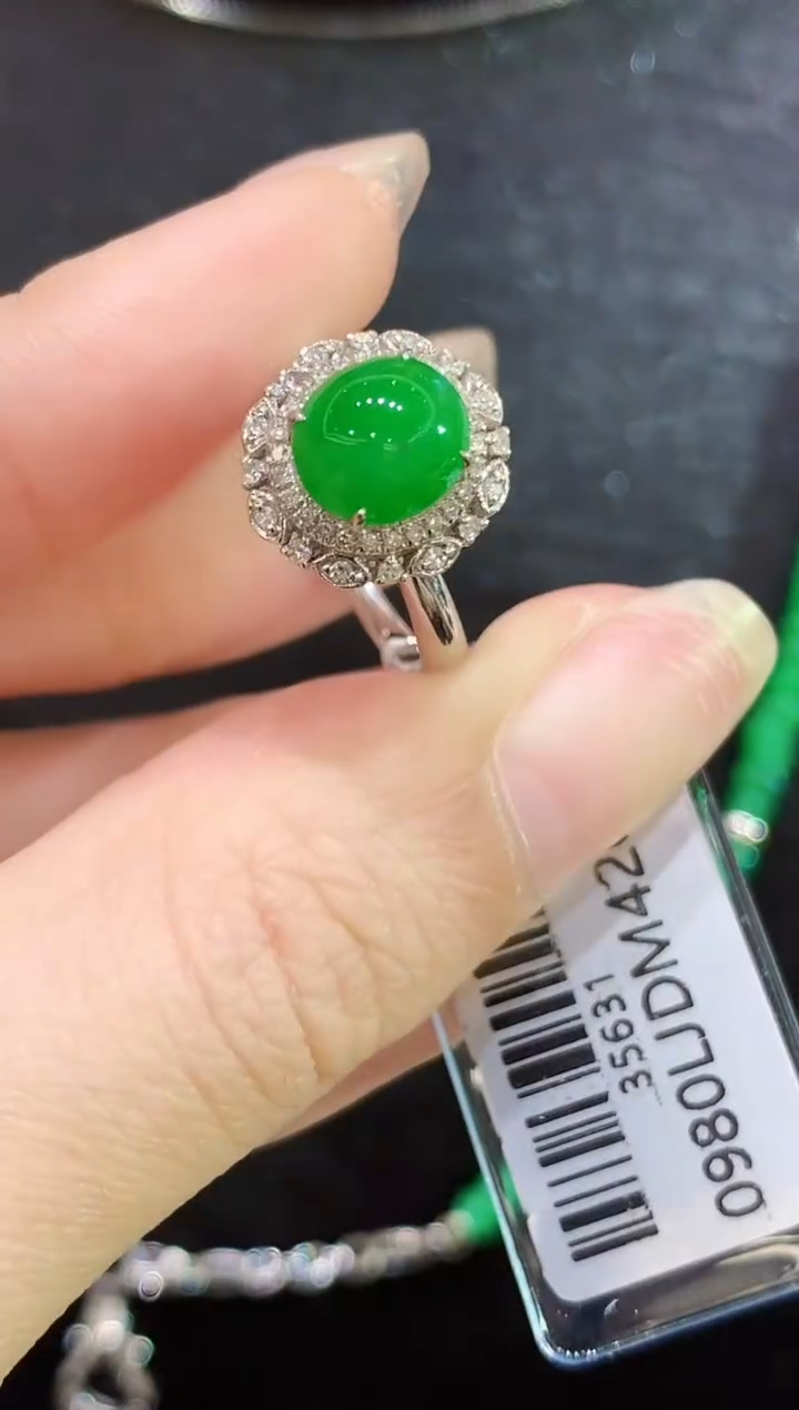 18K金镶嵌戒指翡翠SF多样性发其一