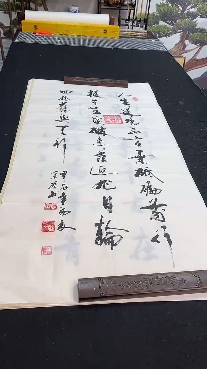 书法人生逆境不言弃